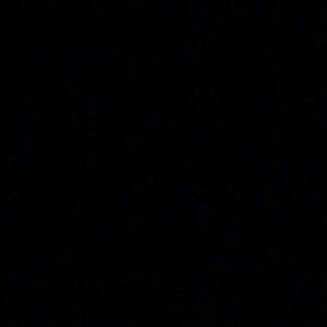 Meet your Posher, Roselyn